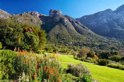 ¡Sumérgete en la historia y la naturaleza en el Jardín Botánico Nacional de Kirstenbosch!