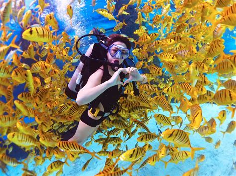 ¡Sumérgete en la Historia y la Naturaleza con el Museo de la Perla de Sanya!