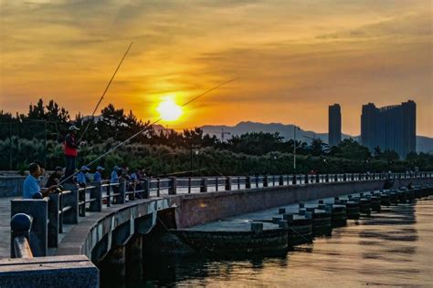  ¡Descubre la majestuosidad marina del Parque Marino de Weihai!